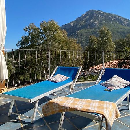 Taddore Green Lodge Galtellì Екстериор снимка
