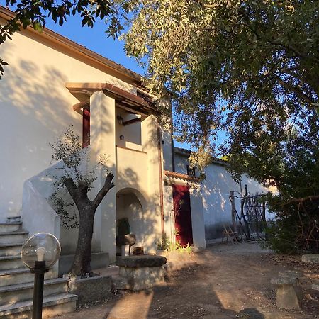 Taddore Green Lodge Galtellì Екстериор снимка
