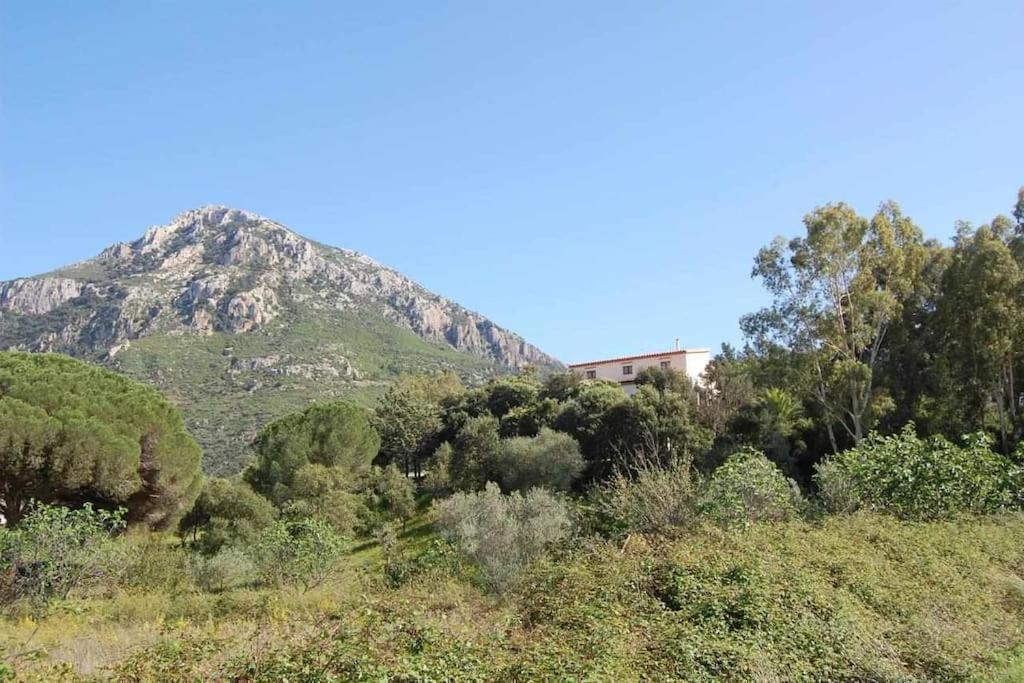 Taddore Green Lodge Galtellì Екстериор снимка