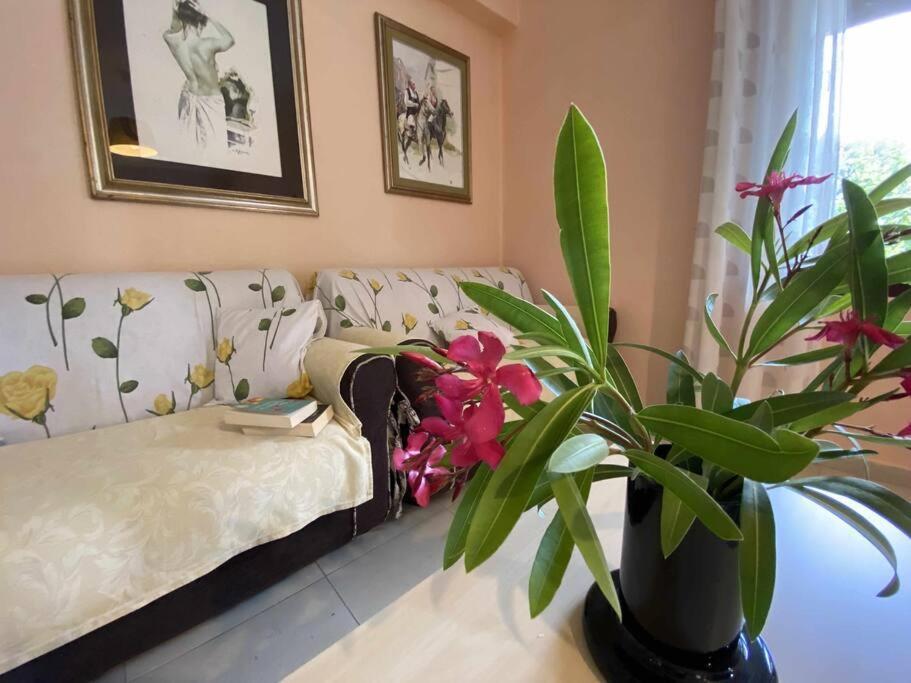 Taddore Green Lodge Galtellì Екстериор снимка