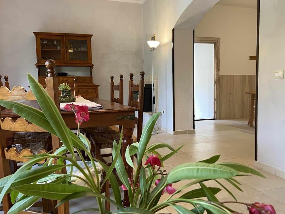 Taddore Green Lodge Galtellì Екстериор снимка